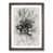 Walnut Framed selected