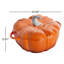 Cast Iron 3.5 Qt Pumpkin Cocotte with Stainless Steel Knob-73309739
