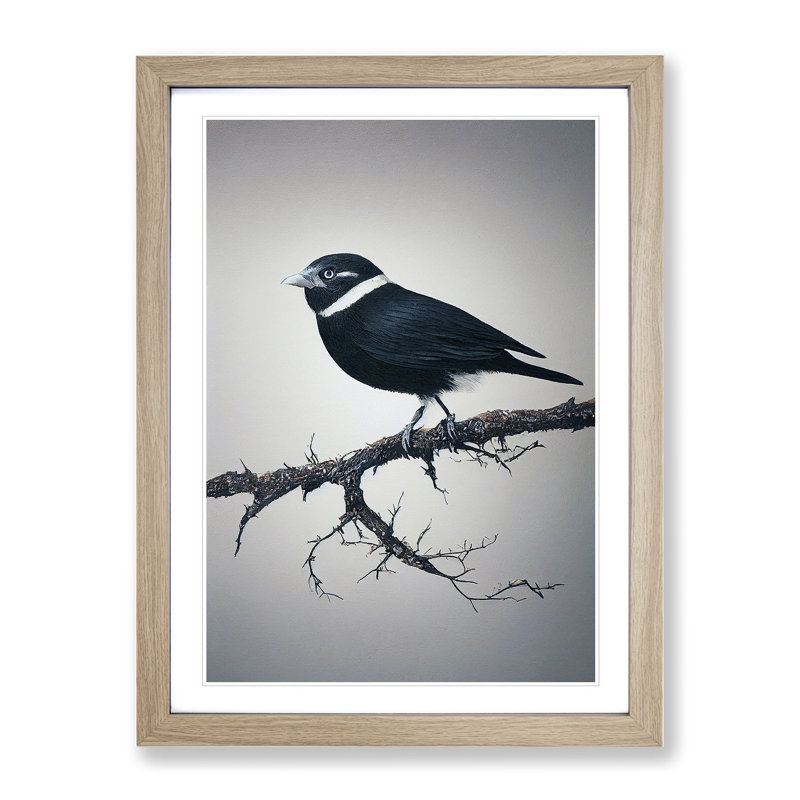 Bird Upon A Tree - Wall Art, 48cm H x 36cm W, Oak Framed, White