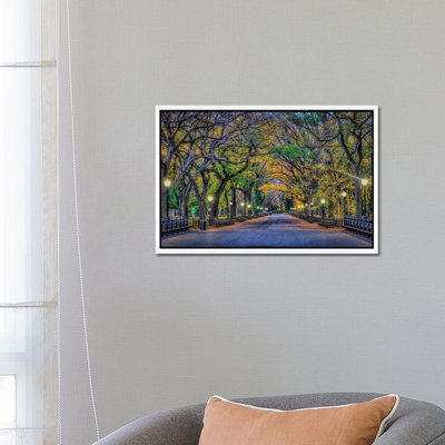 Central Park Night by David Gardiner - Print on Canvas