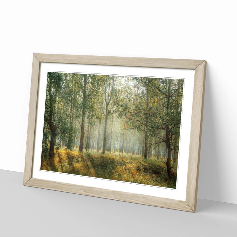 Single Picture Frame Print, Oak