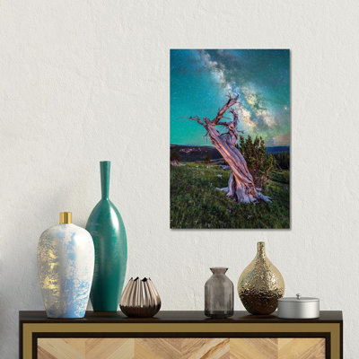 Milky Way Night Sky Over Ancient Bristlecone Pine Tree In Colorado 1 Piece Wall Art on Canvas