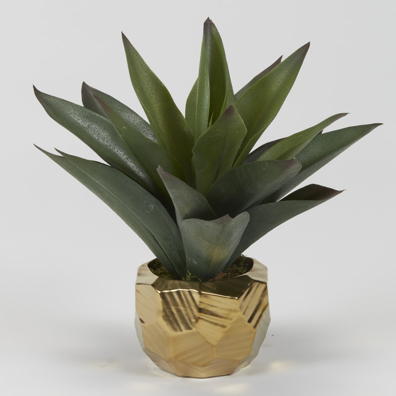 Jardinière en aloès en céramique dorée