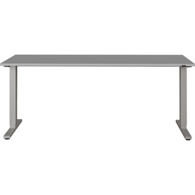 Adjustable Metal Base Standing Desk