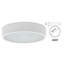 Alyose Flush Mount-276239904