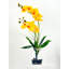 Double orchidée phalaenopsis, arrangement floral-103109823
