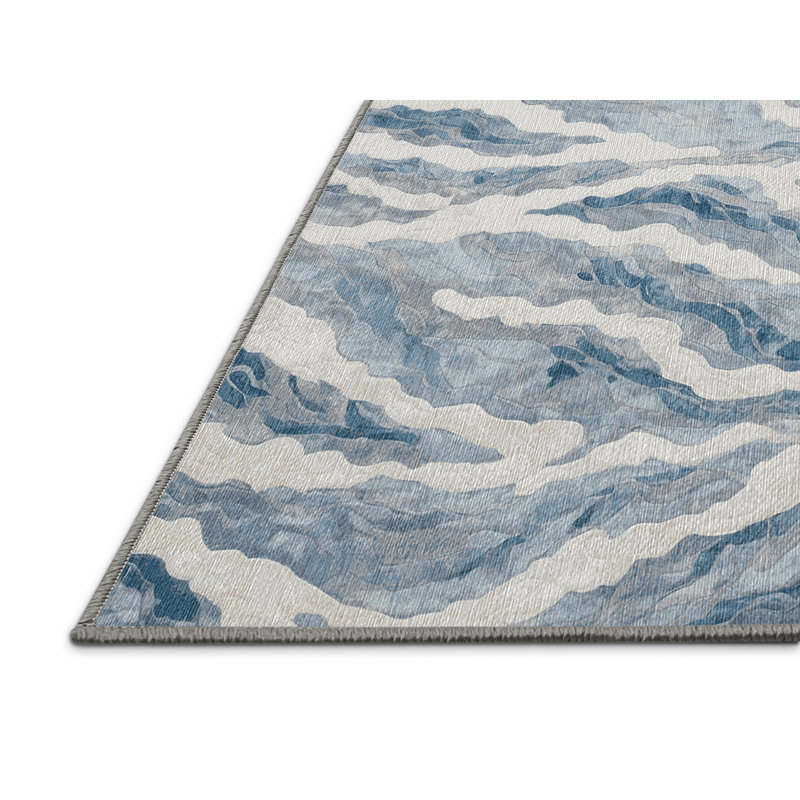 Machine Washable Gray Area Rug