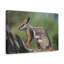 Wall Art on Canvas-1538926205