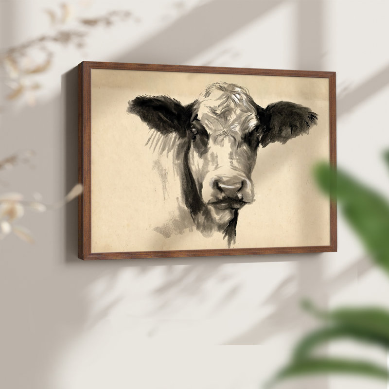 Charcoal Cow II -Framed Print - Restickable, Noyer, H 16 po x l 20 po