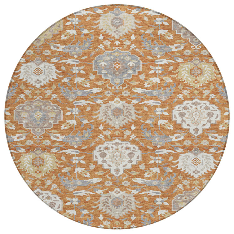  Machine Washable Indoor/Outdoor Chantille ACN1026 Rug