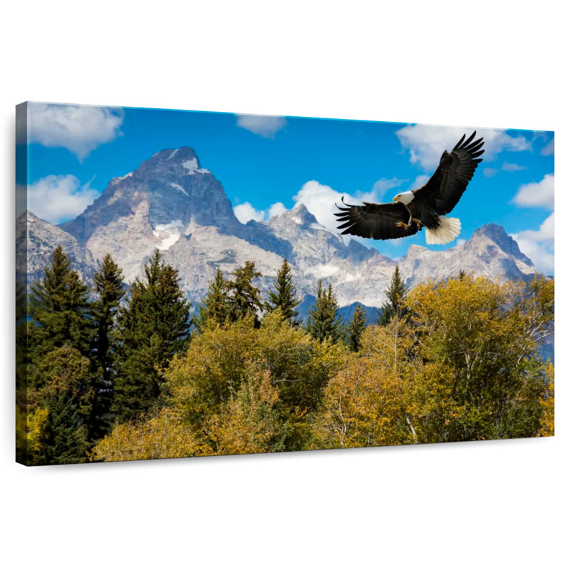 Grand Teton Eagle, 16" H x 24" W