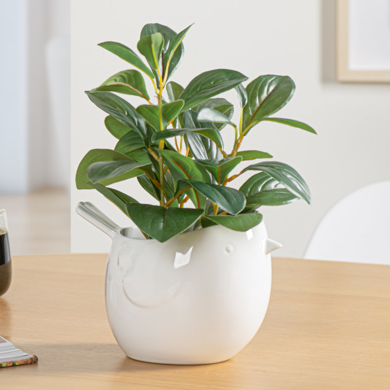 Zygi Bird Gloss Ceramic Planter Pot for 4" Nursery Pots (White), White