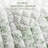 3 Pieces Twin/Twin XL Quilt Set with Decorative Pillow,Green