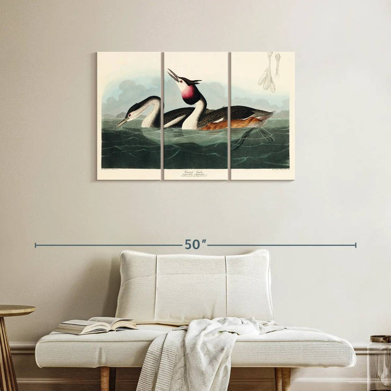 Brampt Crested Grebe, 24" H x 38" W