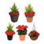 2x Artificial Rattan Patio Planters with Geraniums and Cedar Topiary-756232263