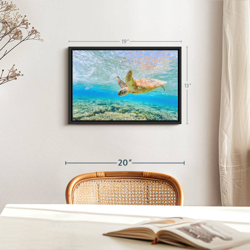 Turtle Dive Canvas Print, 13" H x 19" W