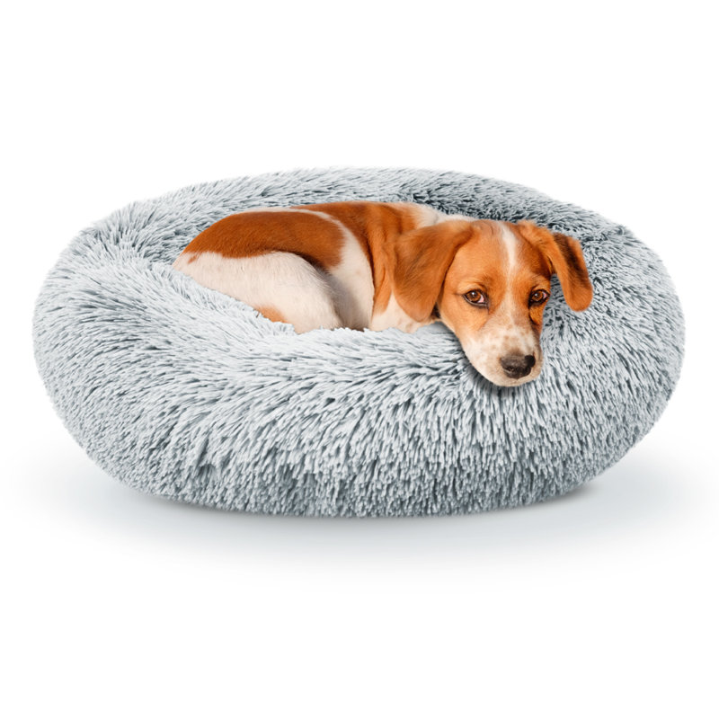 Lit pour animal de compagnie Correa, Petit (H 6 po x l 23 po x P 23 po), Gris anthracite
