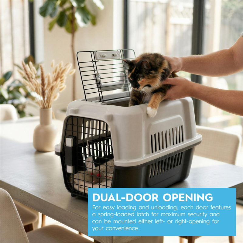 Plastic Pet Carrier, Medium