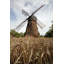 Éolienne, reproduction de photo encadrée-942275148-942275150