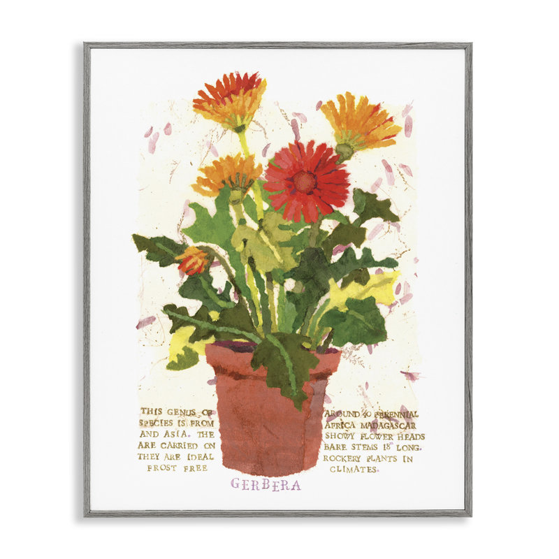 Art de marguerites en pot par Nancy Overton bg-187, Estampe numérique Farmhouse, H 30 po x l 24 po