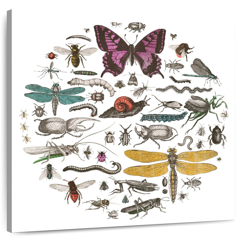 Cercle d'insectes Brampt II brillant, H 39 po x l 39 po