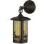 Rustic Lodge 1 - Light Outdoor Wall Lantern-16183288