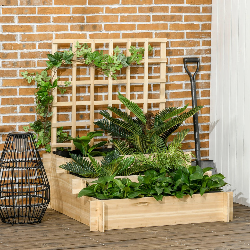 Briesha Wood Raised Garden Bed