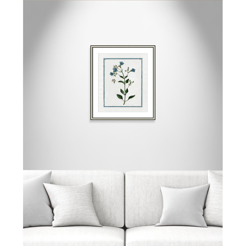 Colombe Shabby Elegance Botanical II - Framed Art, 17.25" W x 20.25" H, Silver Framed