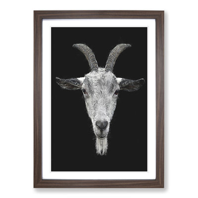White Goat Vol.1 Painting - Picture Frame Graphic Art
