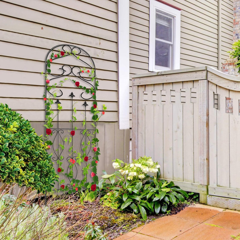 2 Pack Garden Trellis Arched Fencing for Climbing Plants Outdoor 60" x 18", Plant Metal Clematis