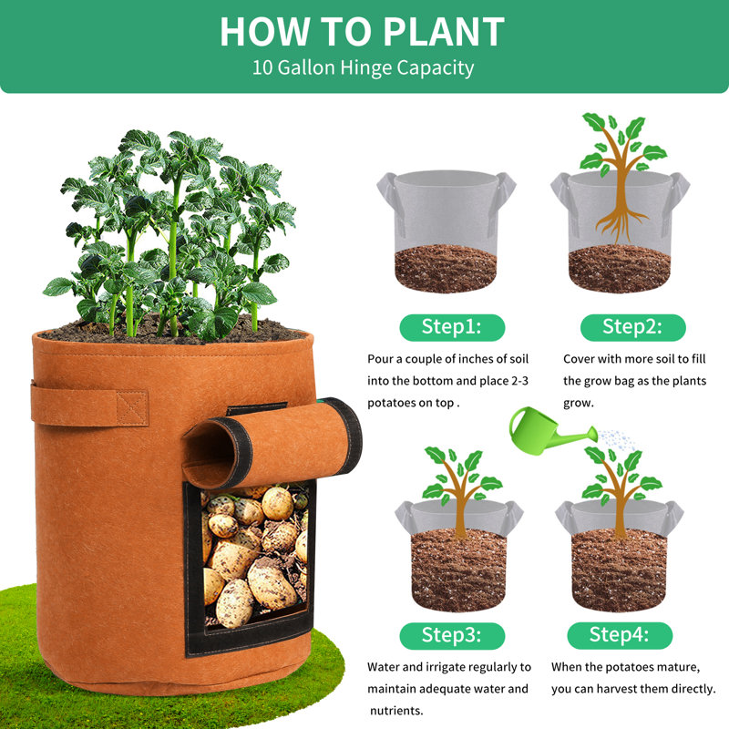 Grow Bags With Window