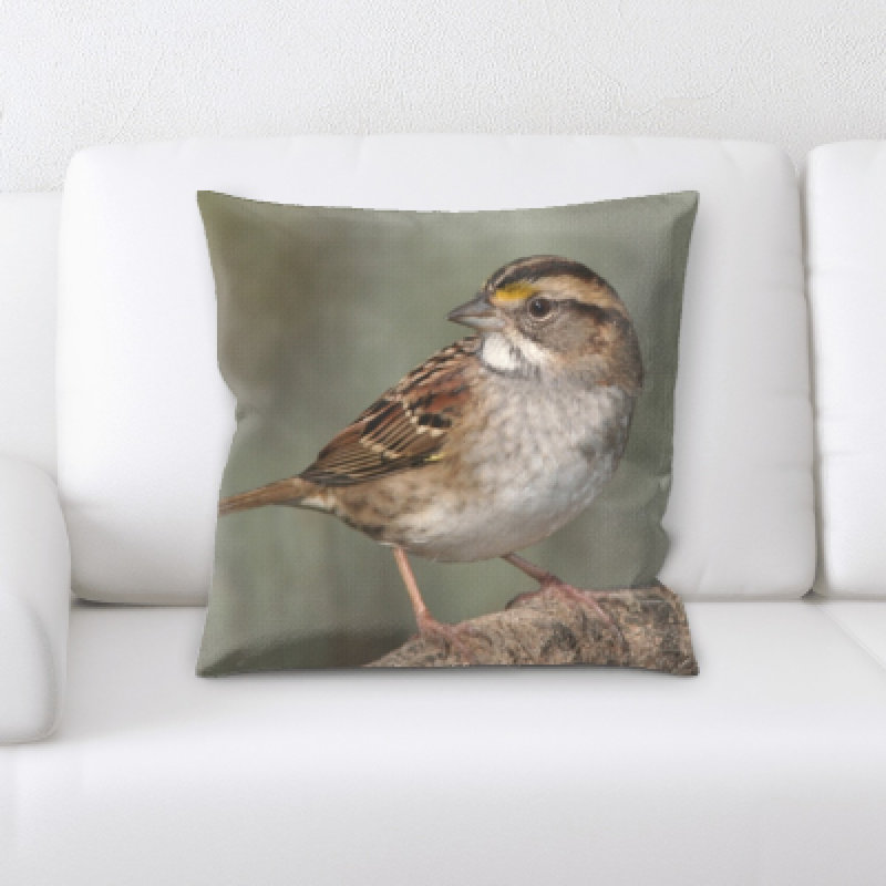 Coussin décoratif "close up of little oiseau" Chrisman
