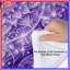Édredon mauve complexe-123334735