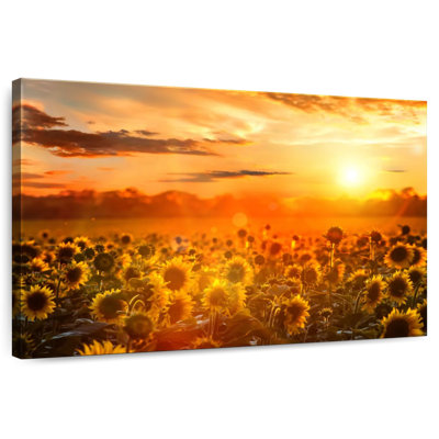 Alvord Yellow Sunset