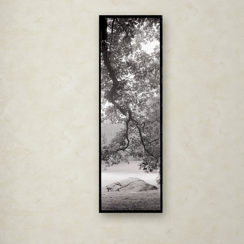 Alan Blaustein «Hampton Field Tree I», reproduction de photo sur toile tendue, H 32 po x l 10 po x P 2 po
