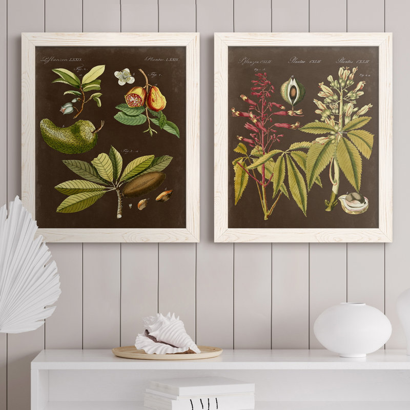 «Breadfruit On Suede», ensemble de 2 reproductions d'art graphique encadrées, H 20 po x l 17 po x P 1 po, Pas de tapis