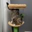 182.88cm H Cat Tree