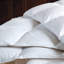 Cuddledown Damask Stripe 700FP Down Comforter-847392307-860055490
