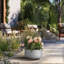 Pot à fleurs en béton Renfrew-1175341561-1175341562