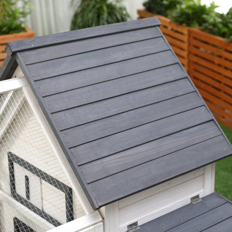 Gray and White Wooden Chicken Coop with Nesting Box and Ramp