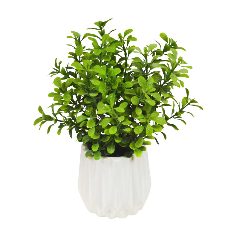 6" Faux Boxwood Plant in White Ribbed Vase