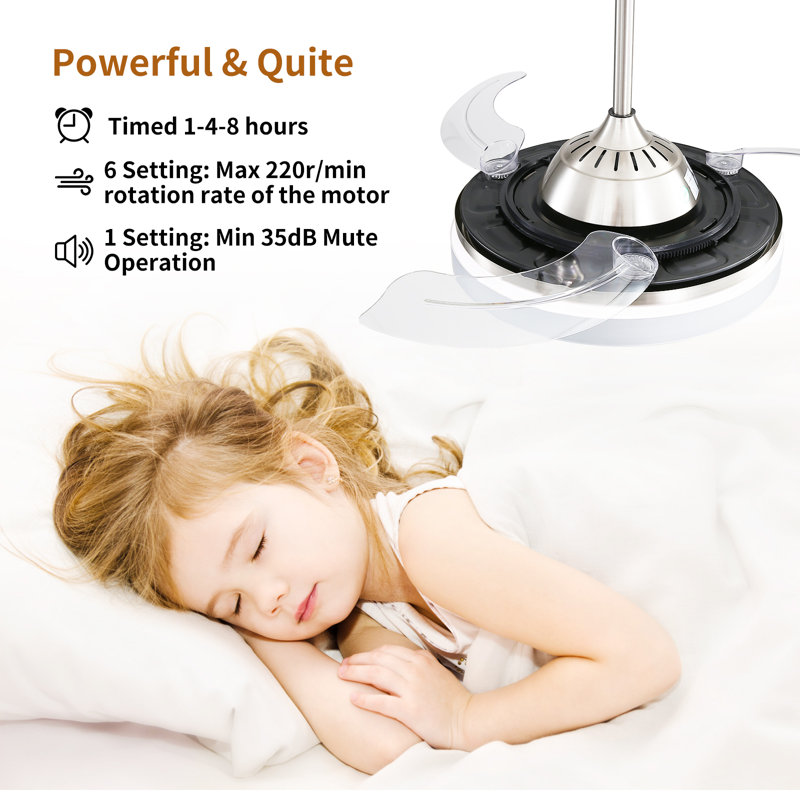 Beilin Ceiling Fan with LED Lights