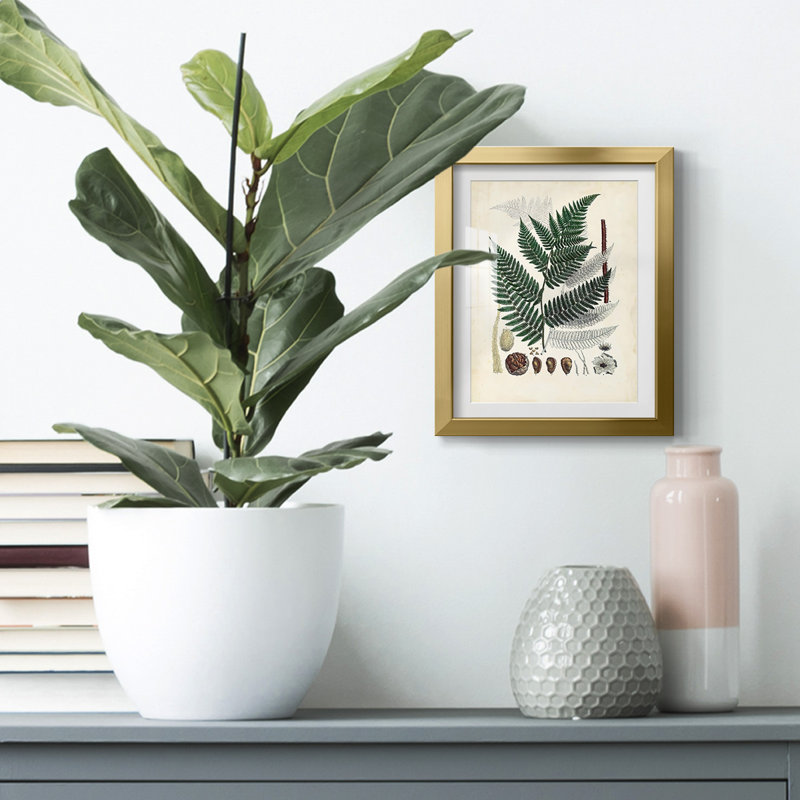 Corlee -Gallery Wrapped Canvas