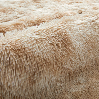Allesha Standard Shag Area Rug