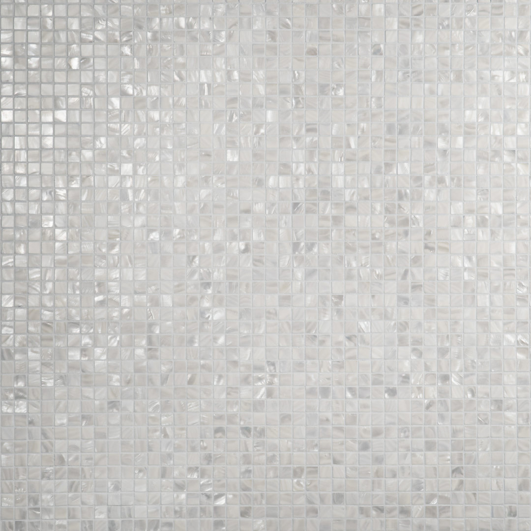 Conchella Square White 12" x 12" Natural Shell Mosaic Wall Tile Merola Tile