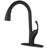 VIBRANTBATH Pull Down Kitchen Faucet-94339895