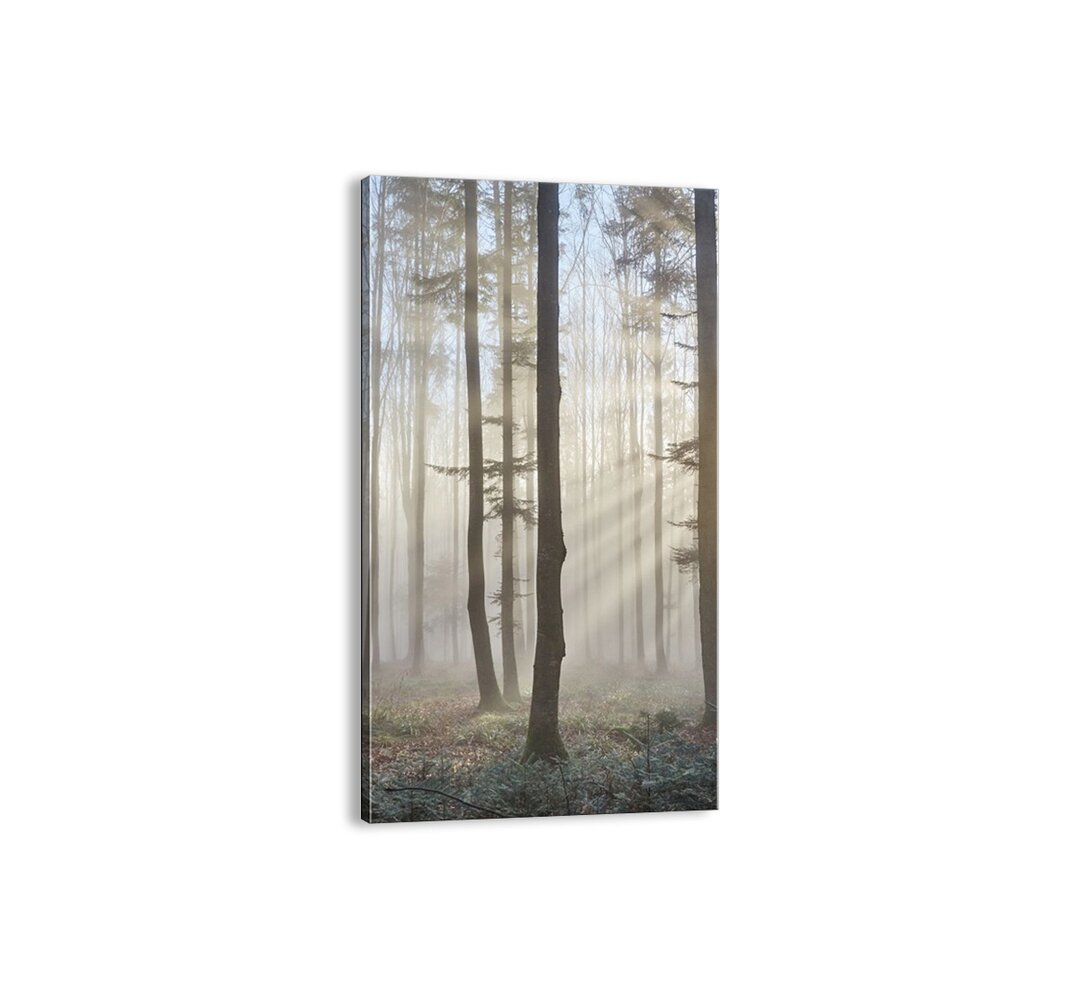 Leinwandbild - Fotografie „The Fog Has Also Woken Up”