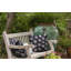 Housse et insert de coussin d'extérieur carré Botanical Blooms-442234609-404429240