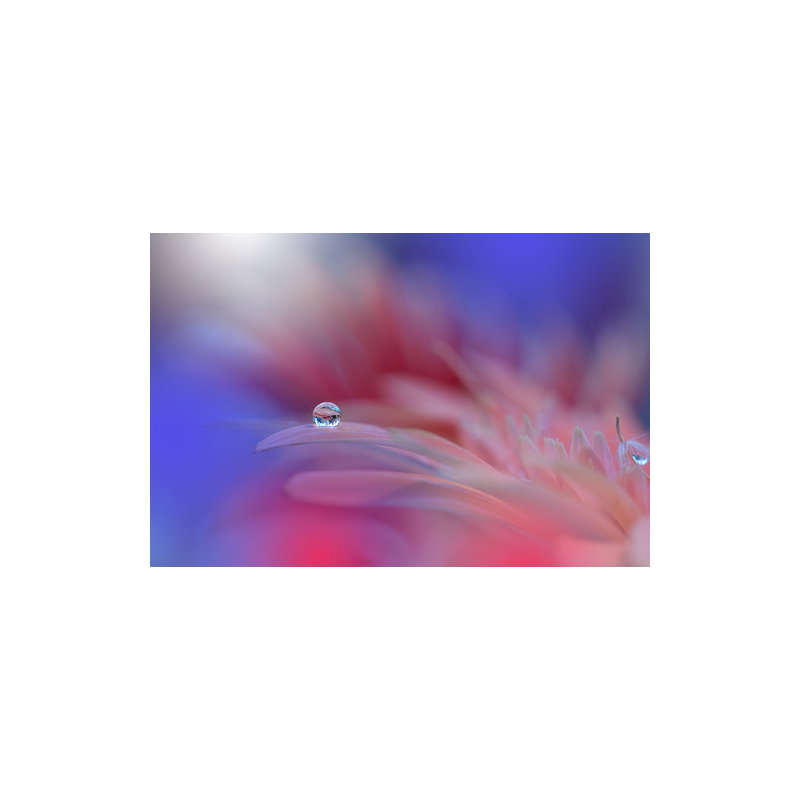 Wrapped Canvas Print, 60.96 cm H x 91.44 cm W