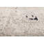 Contemporary Hand Knotted Wool Area Rug in Gray